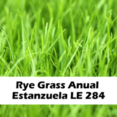 Rye Grass Yapa El Cencerro 20 KG (Anual - Lolium Multiflorum)