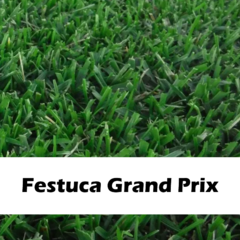 Festuca Grand Prix El Cencerro x 20 kg