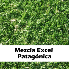 Mezcla Excel Patagónica 25kg