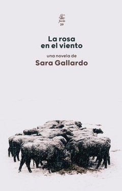 LA ROSA EN EL VIENTO - SARA GALLARDO - FIORDO