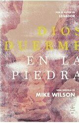 DIOS DUERME EN LA PIEDRA - MIKE WILSON - FIORDO