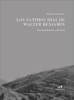 LOS ÚLTIMOS DÍAS DE WALTER BENJAMIN - PATRICIO SALINAS - SAPOSCAT