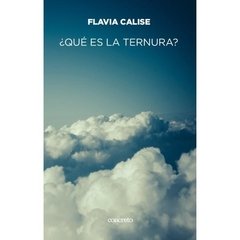 ¿QUÉ ES LA TERNURA? - FLAVIA CALISE - CONCRETO EDITORIAL
