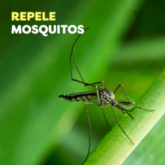 Repelente para Mosquitos OFF! Extra Duración Spray 200ml en internet