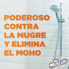 Mr Musculo Baño Gatillo x500cm3 en internet