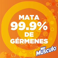Limpiador de Baño Mr Músculo en Crema Floral 450ml - ChangoNet
