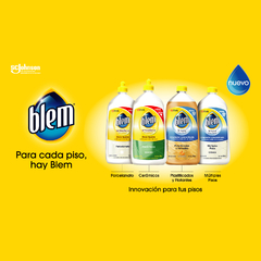 Limpiador de Pisos Plastificados y Flotantes Blem Almendras Botella 800ml - ChangoNet