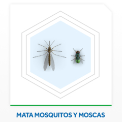 Insecticida Raid Mata Moscas y Mosquitos Nueva Fórmula x2 más rápido en Aerosol 370cc - tienda online