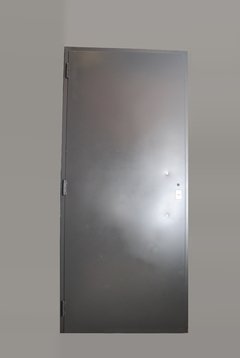 Puerta doble chapa inyectada con apliques Acero Inoxidable - comprar online