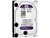 DISCO RIGIDO 1TB SATA 6GB 3.5 PURPLE PURPURA