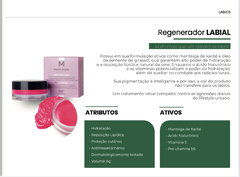 Regenerador Labial Make More