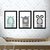 Kit 3 Quadros decorativos Animais moldura e vidro - comprar online
