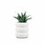 PLANTA CON MACETA MILO WHITE