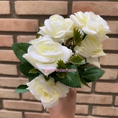 Buque Mini Rosas