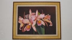 Orquídea - comprar online