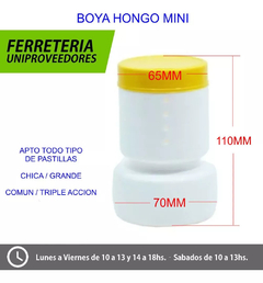 BOYA HONGO MINI PILETA PISCINA PELOPINCHO en internet