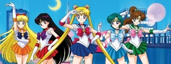 Banner da categoria Sailor Moon
