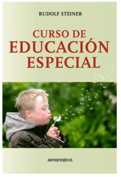 Curso de educación especial