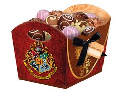 Cachepot Harry Potter c/ 8 unids - comprar online