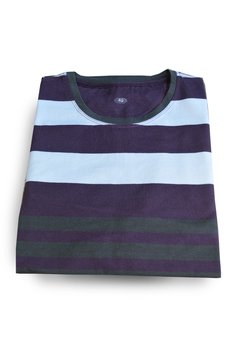 LP 260 REMERA OBISPO - comprar online