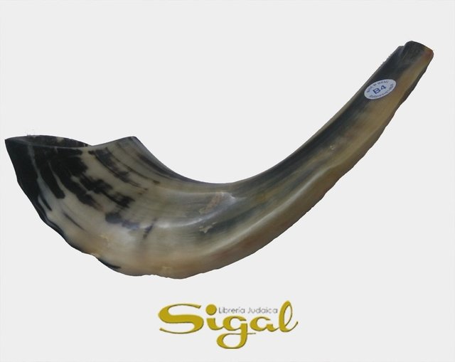 Shofar de Carnero de 38 a 42cm B4 - comprar online