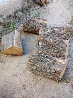 Batea de algarrobo mediana en internet