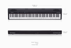 Roland Go88p Go Piano Piano Electrico 88 Teclas Semi Pesadas - EdenLP Instrumentos Musicales