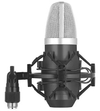 Stagg Sum40 Microfono Condenser Usb Para Pc + Acesorios en internet