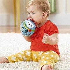 Chocalho Mordedor - Porco Espinho - Skip Hop - FPKids Produtos Infantis | Produtos Para Bebês, Crianças e Mamães