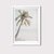 Palm Tree Photography - comprar online