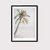 Palm Tree Photography en internet