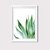 Agave Plant - comprar online