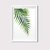 Tropical Leaf - comprar online