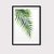 Tropical Leaf en internet