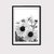 Black & White Flowers en internet