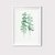 Eucalyptus Leaves 2 - comprar online