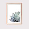 Watercolor Flower Cactus
