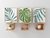 Palm Leaves Set - comprar online