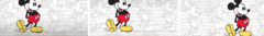 Banner da categoria Disneymaniacas