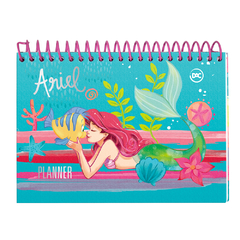 PLANNER PERMANENTE ARIEL - comprar online