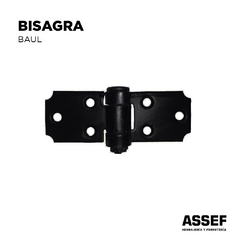 Bisagra Baul