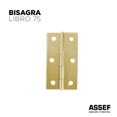 Bisagra Libro | 75mm