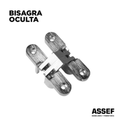 Bisagra Oculta Acerada