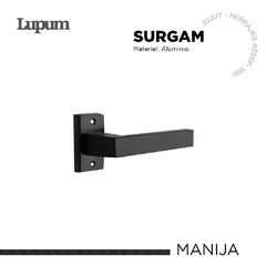 Surgam | Manija