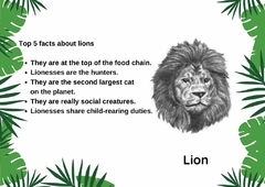 A4 "TOP 5 FACTS ABOUT ANIMALS" Material didáctico en inglés Tamaño A4 - Hauska