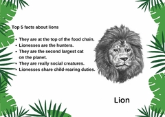 A3 "TOP 5 FACTS ABOUT ANIMALS" Material didáctico en inglés Tamaño A3 - comprar online