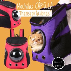 Mochila Capsula Gatos Perros Mascota SYC025 - comprar online