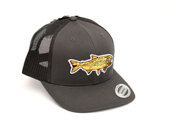 GORRA DORADO POTF (POTF30) en internet