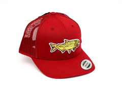 GORRA DORADO POTF (POTF30) - comprar online