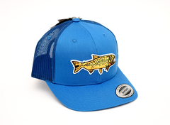 GORRA DORADO POTF (POTF30)